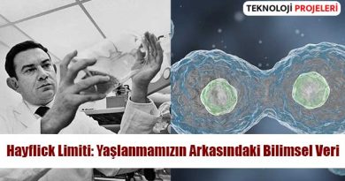 Hayflick Limiti: Yaşlanmamızın Arkasındaki Bilimsel Veri