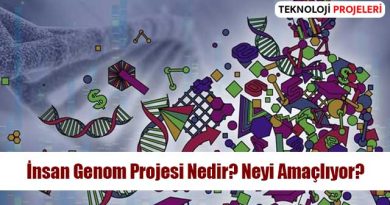 İnsan Genom Projesi Nedir? Neyi Amaçlıyor?